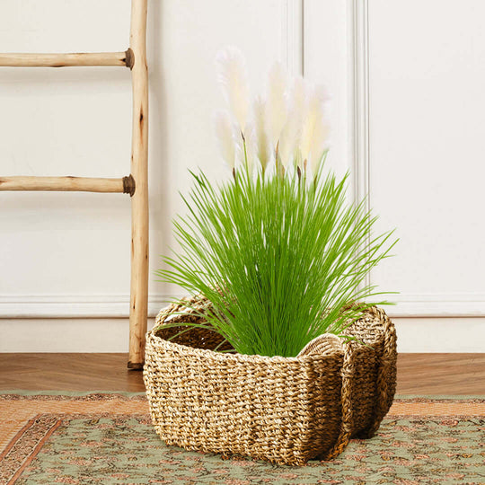 Affordable quality homewares - Woven baskets with green plants, ideal for value furniture and decorative storage.