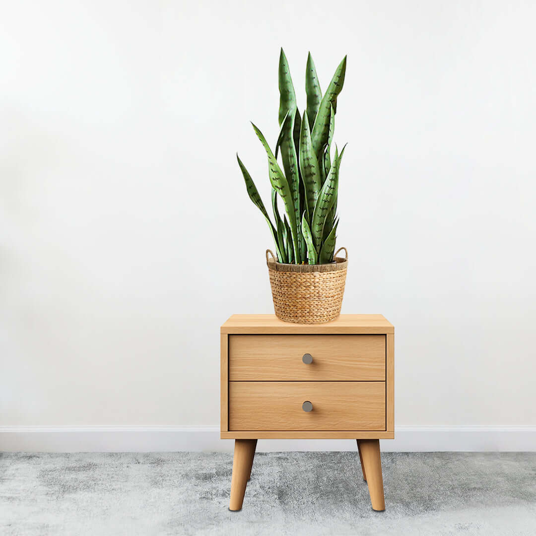 Affordable quality wooden nightstand with a woven basket and a green plant, showcasing value furniture and stylish homewares.