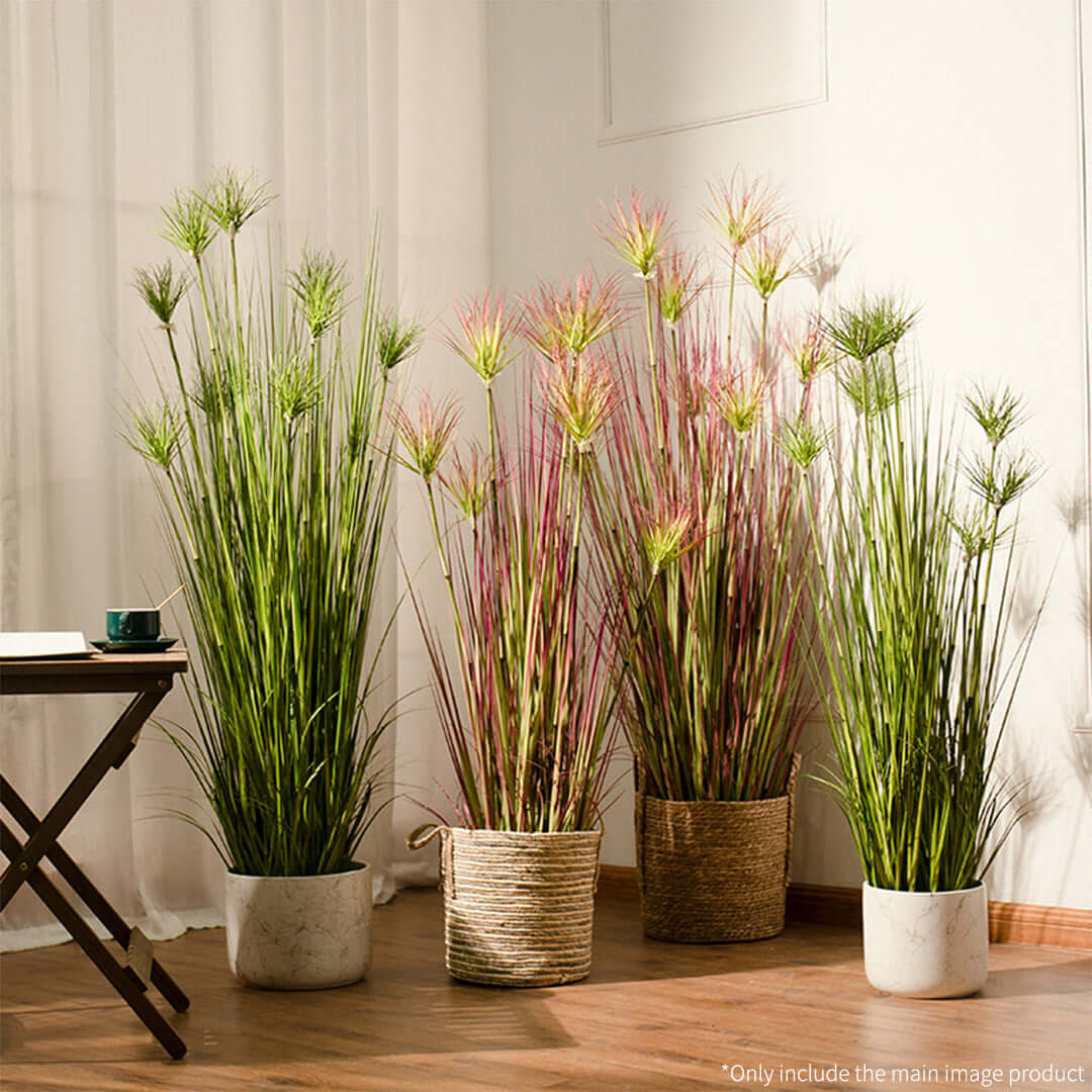 Potted green and pink grasses in stylish containers for affordable and quality homewares, adding value to any home's interior decor.