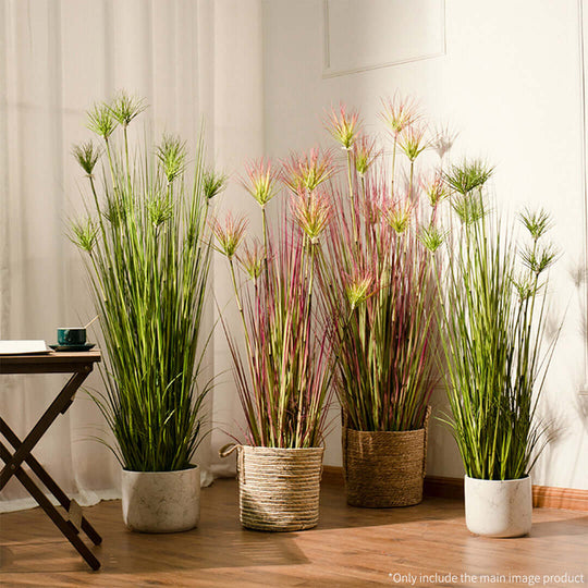 Potted green and pink grasses in stylish containers for affordable and quality homewares, adding value to any home's interior decor.