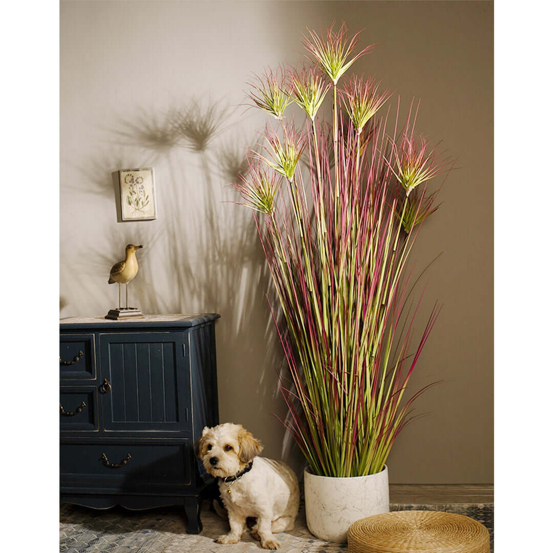 Affordable quality homewares featuring tall vase with decorative grass, small wooden cabinet, and adorable dog adding value to your furniture