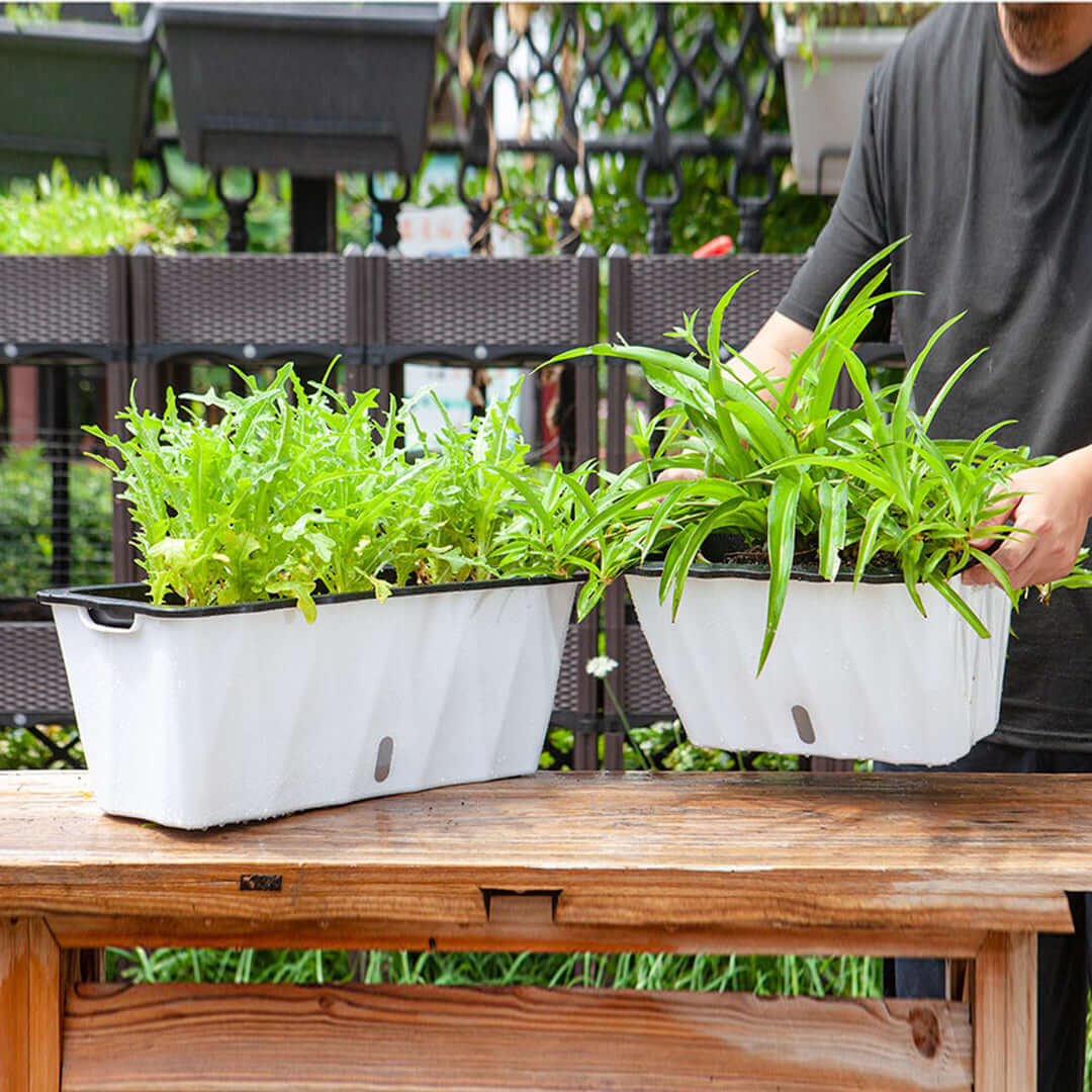 Person holding two white planters filled with lush green plants, placed on a wooden table in an outdoor setting.