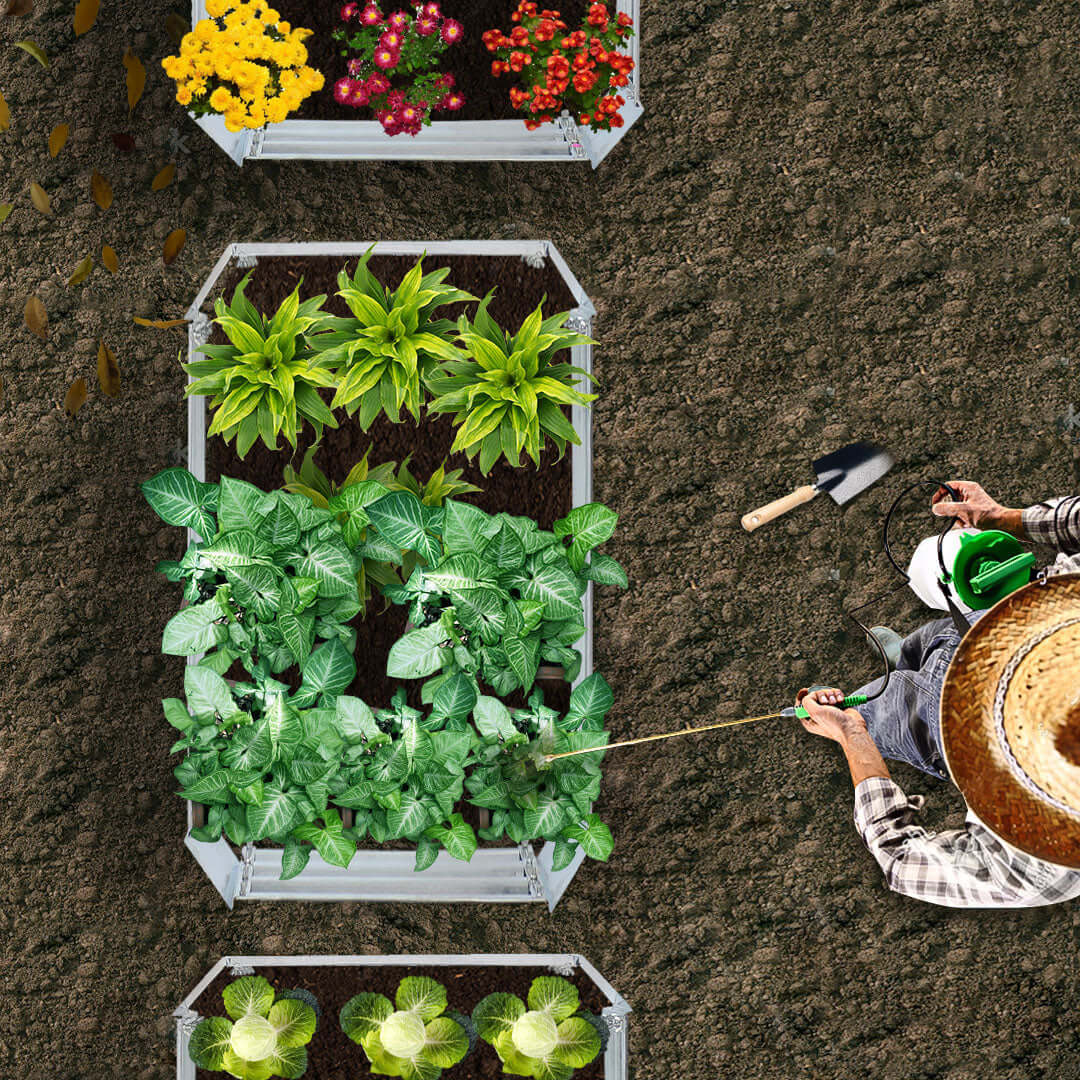 Gardener tending to raised garden beds with various plants and flowers planted in organized rows in the soil.