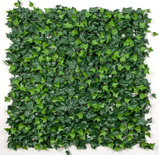 DSZ Product, feed-cond-new, feed-sl-DSZ Freight Payable, newIvy Leaf Screens / Panels Uv Stabilised 1M X 1M - Premium Outdoor Recreation > Camping > Caravan Accessories from DSZ ! Shop Online Buy Now at S & D's Value Store Family Business Best Customer ServiceDSZ Product, feed-cond-new, feed-sl-DSZ Freight Payable, new