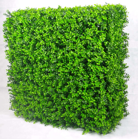 DSZ Product, feed-cond-new, feed-sl-DSZ Freight Payable, newPortable Buxus Hedge Uv Stabilised 75Cm X 75Cm - Premium Home & Garden > Shading > Umbrellas & Sunshades from DSZ ! Shop Online Buy Now at S & D's Value Store Family Business Best Customer ServiceDSZ Product, feed-cond-new, feed-sl-DSZ Freight Payable, new