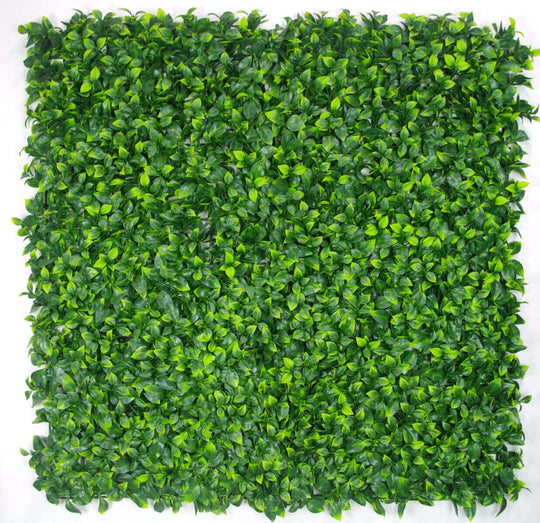 DSZ Product, feed-cond-new, feed-sl-DSZ Freight Payable, newJasmine Leaf Screens / Panels Uv Stabilised 1M X 1M - Premium Outdoor Recreation > Camping > Caravan Accessories from DSZ ! Shop Online Buy Now at S & D's Value Store Family Business Best Customer ServiceDSZ Product, feed-cond-new, feed-sl-DSZ Freight Payable, new