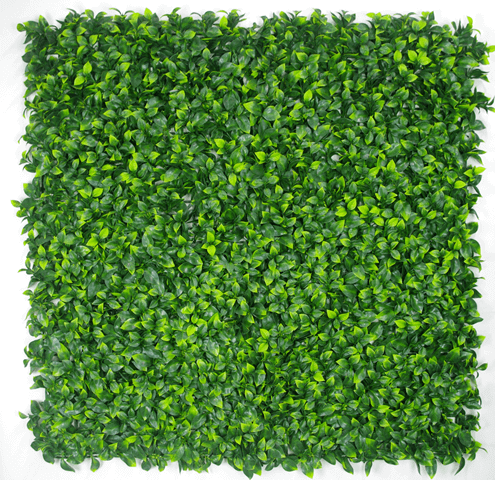 DSZ Product, feed-cond-new, feed-sl-DSZ Freight Payable, newJasmine Leaf Screens / Panels Uv Stabilised 1M X 1M - Premium Outdoor Recreation > Camping > Caravan Accessories from DSZ ! Shop Online Buy Now at S & D's Value Store Family Business Best Customer ServiceDSZ Product, feed-cond-new, feed-sl-DSZ Freight Payable, new