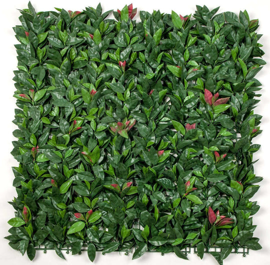 DSZ Product, feed-cond-new, feed-sl-DSZ Freight Payable, newPhotinia (Red Robin) Leaf Screens / Panels Uv Stabilised 1M X 1M - Premium Home & Garden > Artificial Plants > Artifical Flowers & Plants from DSZ ! Shop Online Buy Now at S & D's Value Store Family Business Best Customer ServiceDSZ Product, feed-cond-new, feed-sl-DSZ Freight Payable, new