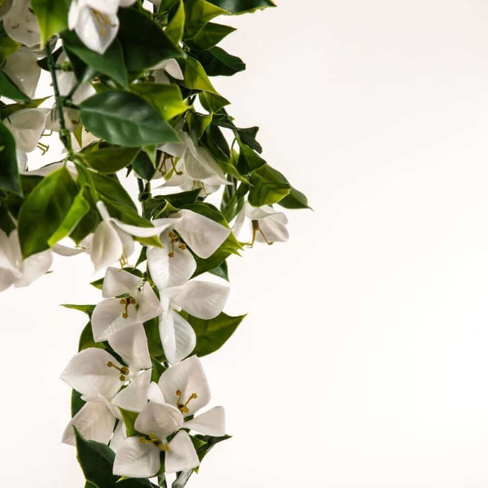 DSZ Product, feed-cond-new, feed-sl-DSZ Freight Payable, newHanging White Artificial Bougainvillea Plant Uv Resistant 90Cm - Premium Home & Garden > Artificial Plants > Artificial Hanging Plants from DSZ ! Shop Online Buy Now at S & D's Value Store Family Business Best Customer ServiceDSZ Product, feed-cond-new, feed-sl-DSZ Freight Payable, new