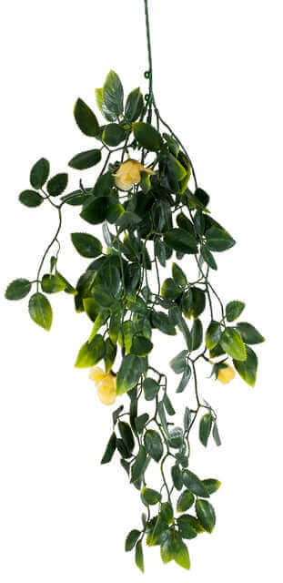 DSZ Product, feed-cond-new, feed-sl-DSZ Freight Payable, newYellow Mixed Hanging Foliage Uv 60Cm - Premium Home & Garden > Artificial Plants > Artifical Flowers & Plants from DSZ ! Shop Online Buy Now at S & D's Value Store Family Business Best Customer ServiceDSZ Product, feed-cond-new, feed-sl-DSZ Freight Payable, new