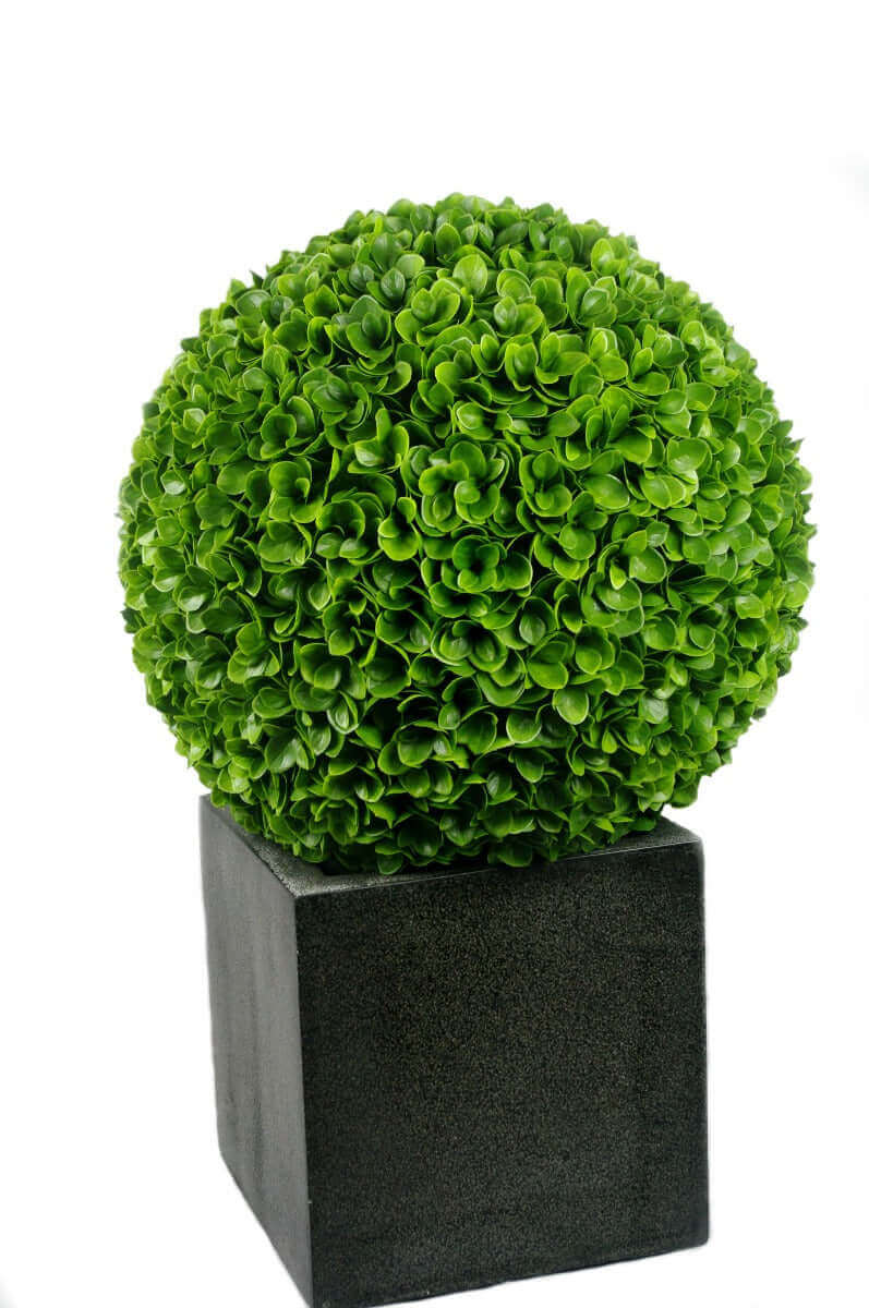 DSZ Product, feed-cond-new, feed-sl-DSZ Freight Payable, newLarge Clover Hedge Topiary Ball Uv Resistant 48Cm - Premium Home & Garden > Artificial Plants > Artifical Flowers & Plants from DSZ ! Shop Online Buy Now at S & D's Value Store Family Business Best Customer ServiceDSZ Product, feed-cond-new, feed-sl-DSZ Freight Payable, new