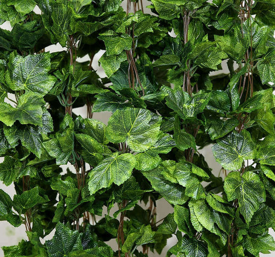 DSZ Product, feed-cond-new, feed-sl-DSZ Freight Payable, newIvy Garland Vines 260Cm Each - 5 Per Pack - Premium Home & Garden > Artificial Plants > Artifical Flowers & Plants from DSZ ! Shop Online Buy Now at S & D's Value Store Family Business Best Customer ServiceDSZ Product, feed-cond-new, feed-sl-DSZ Freight Payable, new