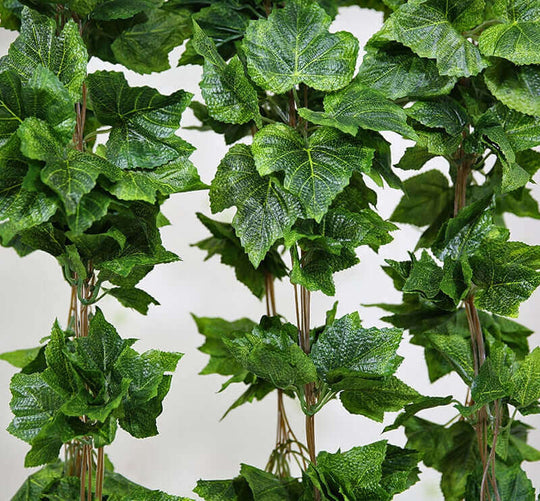 DSZ Product, feed-cond-new, feed-sl-DSZ Freight Payable, newIvy Garland Vines 260Cm Each - 5 Per Pack - Premium Home & Garden > Artificial Plants > Artifical Flowers & Plants from DSZ ! Shop Online Buy Now at S & D's Value Store Family Business Best Customer ServiceDSZ Product, feed-cond-new, feed-sl-DSZ Freight Payable, new