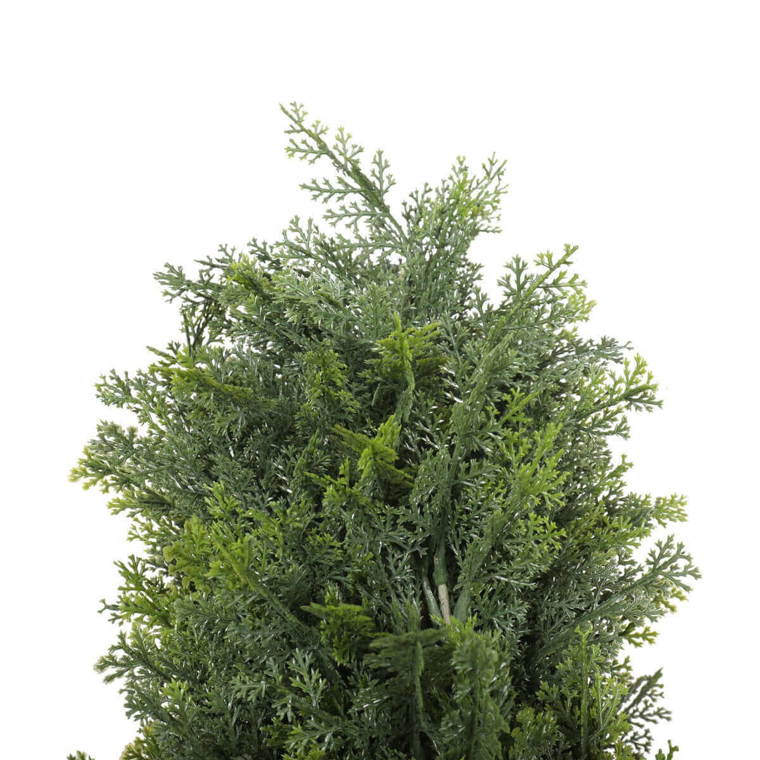 DSZ Product, feed-cond-new, feed-sl-DSZ Freight Payable, newUv Resistant Cypress Pine Tree 2.1M - Premium Home & Garden > Artificial Plants > Artificial Trees from DSZ ! Shop Online Buy Now at S & D's Value Store Family Business Best Customer ServiceDSZ Product, feed-cond-new, feed-sl-DSZ Freight Payable, new