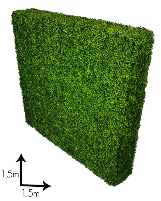 DSZ Product, feed-cond-new, feed-sl-DSZ Freight Payable, newLarge Portable Boxwood Hedges Uv Stabilised 1.5M By 1.5M - Premium Outdoor Recreation > Camping > Caravan Accessories from DSZ ! Shop Online Buy Now at S & D's Value Store Family Business Best Customer ServiceDSZ Product, feed-cond-new, feed-sl-DSZ Freight Payable, new