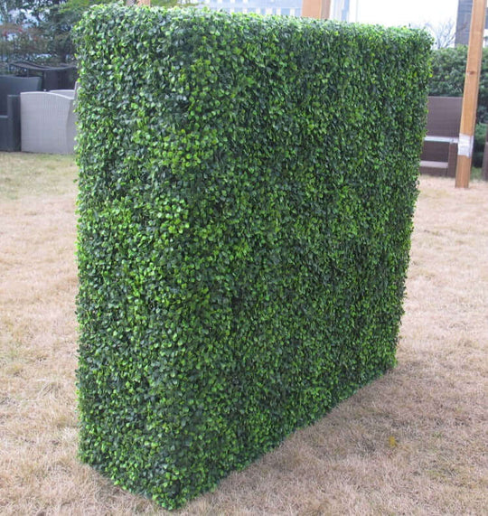 DSZ Product, feed-cond-new, feed-sl-DSZ Freight Payable, newLarge Portable Boxwood Hedges Uv Stabilised 1.5M By 1.5M - Premium Outdoor Recreation > Camping > Caravan Accessories from DSZ ! Shop Online Buy Now at S & D's Value Store Family Business Best Customer ServiceDSZ Product, feed-cond-new, feed-sl-DSZ Freight Payable, new