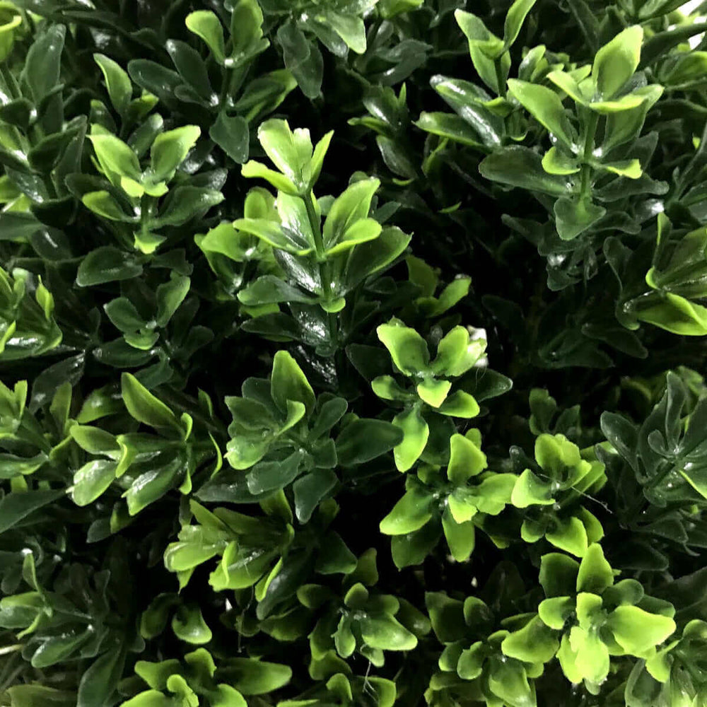 DSZ Product, feed-cond-new, feed-sl-DSZ Freight Payable, newUv Resistant Artificial Topiary Shrub (Hedyotis) 50Cm Mixed Green - Premium Home & Garden > Artificial Plants > Artifical Flowers & Plants from DSZ ! Shop Online Buy Now at S & D's Value Store Family Business Best Customer ServiceDSZ Product, feed-cond-new, feed-sl-DSZ Freight Payable, new