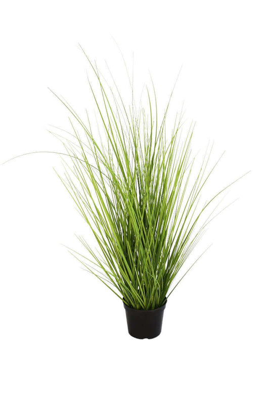 DSZ Product, feed-cond-new, feed-sl-DSZ Freight Payable, newWild Artificial Grass Plant 70Cm - Premium Home & Garden > Artificial Plants > Artifical Flowers & Plants from DSZ ! Shop Online Buy Now at S & D's Value Store Family Business Best Customer ServiceDSZ Product, feed-cond-new, feed-sl-DSZ Freight Payable, new