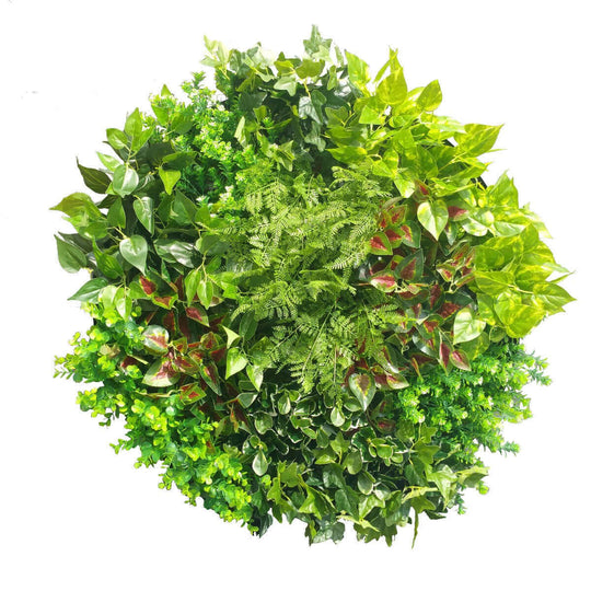 DSZ Product, feed-cond-new, feed-sl-DSZ Freight Payable, newArtificial Green Wall Disk Art 80Cm - Mixed Fern - Premium Home & Garden > Artificial Plants > Artifical Flowers & Plants from DSZ ! Shop Online Buy Now at S & D's Value Store Family Business Best Customer ServiceDSZ Product, feed-cond-new, feed-sl-DSZ Freight Payable, new