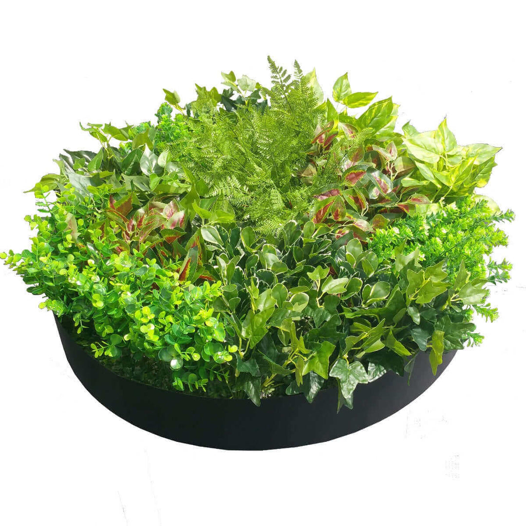 DSZ Product, feed-cond-new, feed-sl-DSZ Freight Payable, newArtificial Green Wall Disk Art 80Cm - Mixed Fern - Premium Home & Garden > Artificial Plants > Artifical Flowers & Plants from DSZ ! Shop Online Buy Now at S & D's Value Store Family Business Best Customer ServiceDSZ Product, feed-cond-new, feed-sl-DSZ Freight Payable, new