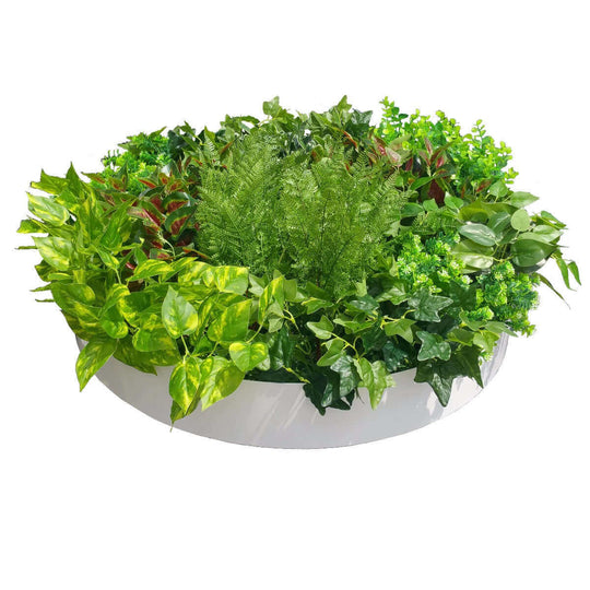 DSZ Product, feed-cond-new, feed-sl-DSZ Freight Payable, newArtificial Green Wall Disk Art 80Cm - Mixed Fern - Premium Home & Garden > Artificial Plants > Artifical Flowers & Plants from DSZ ! Shop Online Buy Now at S & D's Value Store Family Business Best Customer ServiceDSZ Product, feed-cond-new, feed-sl-DSZ Freight Payable, new