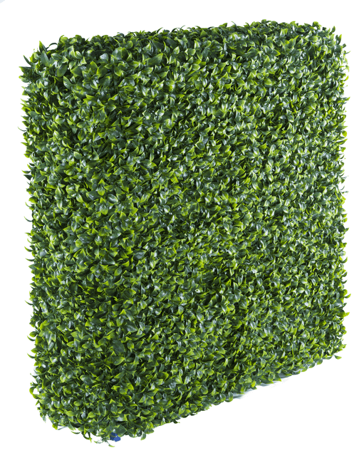 DSZ Product, feed-cond-new, feed-sl-DSZ Freight Payable, newPortable Jasmine Artificial Hedge Plant Uv Resistant 75Cm X 75Cm - Premium Home & Garden > Artificial Plants > Artifical Flowers & Plants from DSZ ! Shop Online Buy Now at S & D's Value Store Family Business Best Customer ServiceDSZ Product, feed-cond-new, feed-sl-DSZ Freight Payable, new