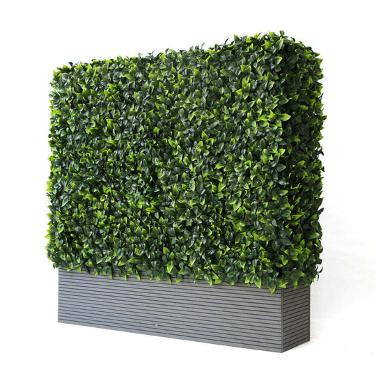 DSZ Product, feed-cond-new, feed-sl-DSZ Freight Payable, newPortable Jasmine Artificial Hedge Plant Uv Resistant 75Cm X 75Cm - Premium Home & Garden > Artificial Plants > Artifical Flowers & Plants from DSZ ! Shop Online Buy Now at S & D's Value Store Family Business Best Customer ServiceDSZ Product, feed-cond-new, feed-sl-DSZ Freight Payable, new