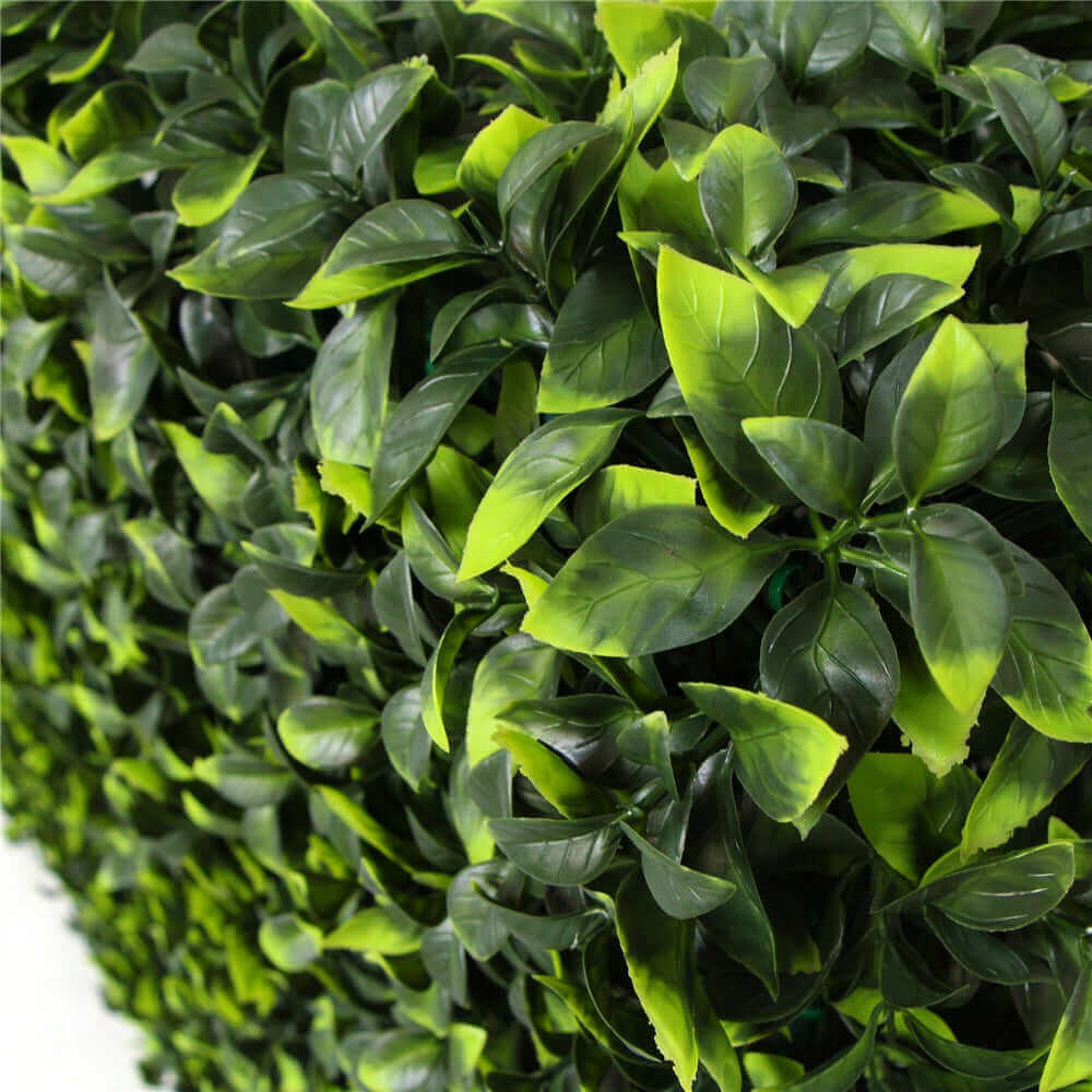 DSZ Product, feed-cond-new, feed-sl-DSZ Freight Payable, newPortable Jasmine Artificial Hedge Plant Uv Resistant 75Cm X 75Cm - Premium Home & Garden > Artificial Plants > Artifical Flowers & Plants from DSZ ! Shop Online Buy Now at S & D's Value Store Family Business Best Customer ServiceDSZ Product, feed-cond-new, feed-sl-DSZ Freight Payable, new