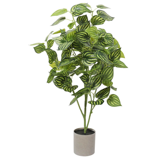 DSZ Product, feed-cond-new, feed-sl-DSZ Freight Payable, newBright Mixed Philodendron Plant 70Cm - Premium Home & Garden > Artificial Plants > Artifical Flowers & Plants from DSZ ! Shop Online Buy Now at S & D's Value Store Family Business Best Customer ServiceDSZ Product, feed-cond-new, feed-sl-DSZ Freight Payable, new