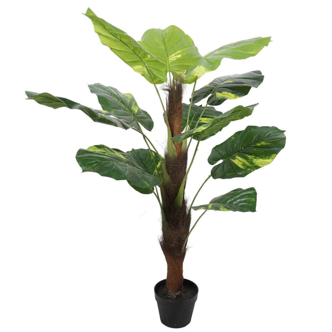 DSZ Product, feed-cond-new, feed-sl-DSZ Freight Payable, newArtificial Potted Pothos Plant With Pole 100Cm - Premium Home & Garden > Artificial Plants > Artificial Potted Plants from DSZ ! Shop Online Buy Now at S & D's Value Store Family Business Best Customer ServiceDSZ Product, feed-cond-new, feed-sl-DSZ Freight Payable, new