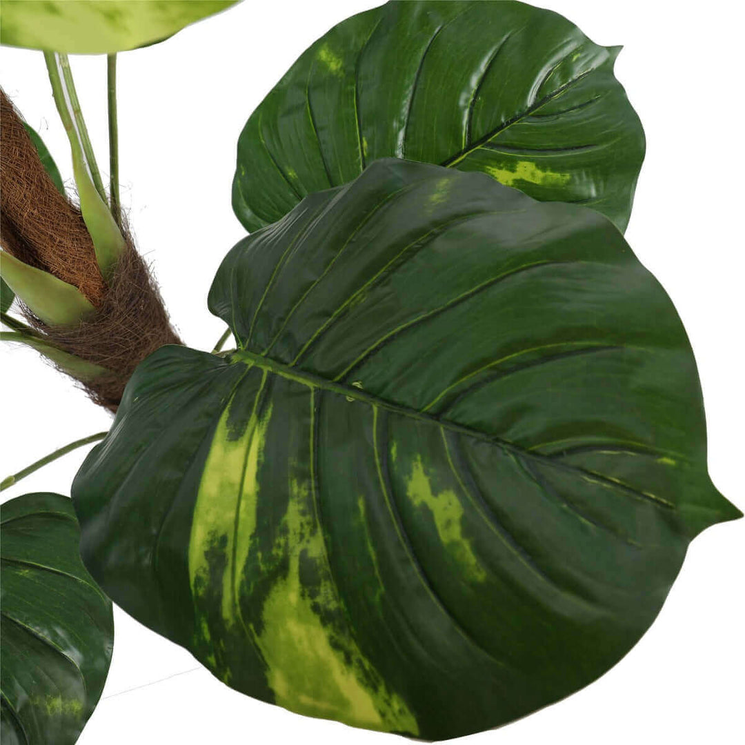 DSZ Product, feed-cond-new, feed-sl-DSZ Freight Payable, newArtificial Potted Pothos Plant With Pole 100Cm - Premium Home & Garden > Artificial Plants > Artificial Potted Plants from DSZ ! Shop Online Buy Now at S & D's Value Store Family Business Best Customer ServiceDSZ Product, feed-cond-new, feed-sl-DSZ Freight Payable, new