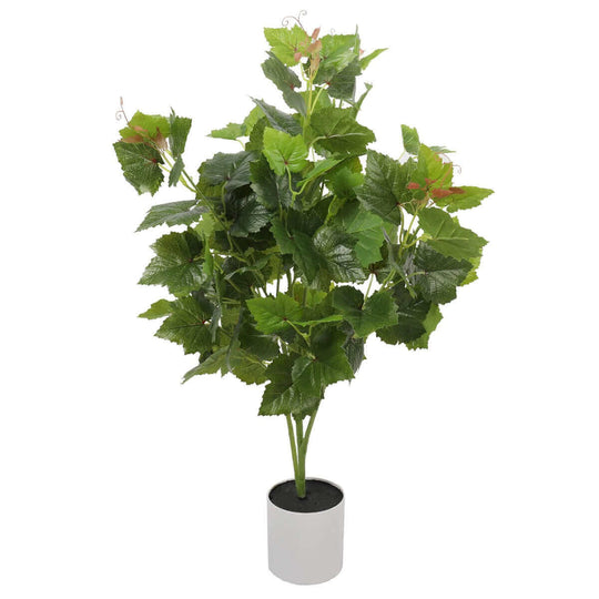 DSZ Product, feed-cond-new, feed-sl-DSZ Freight Payable, newArtificial Potted Grape Vine Tree 70Cm - Premium Home & Garden > Artificial Plants > Artifical Flowers & Plants from DSZ ! Shop Online Buy Now at S & D's Value Store Family Business Best Customer ServiceDSZ Product, feed-cond-new, feed-sl-DSZ Freight Payable, new