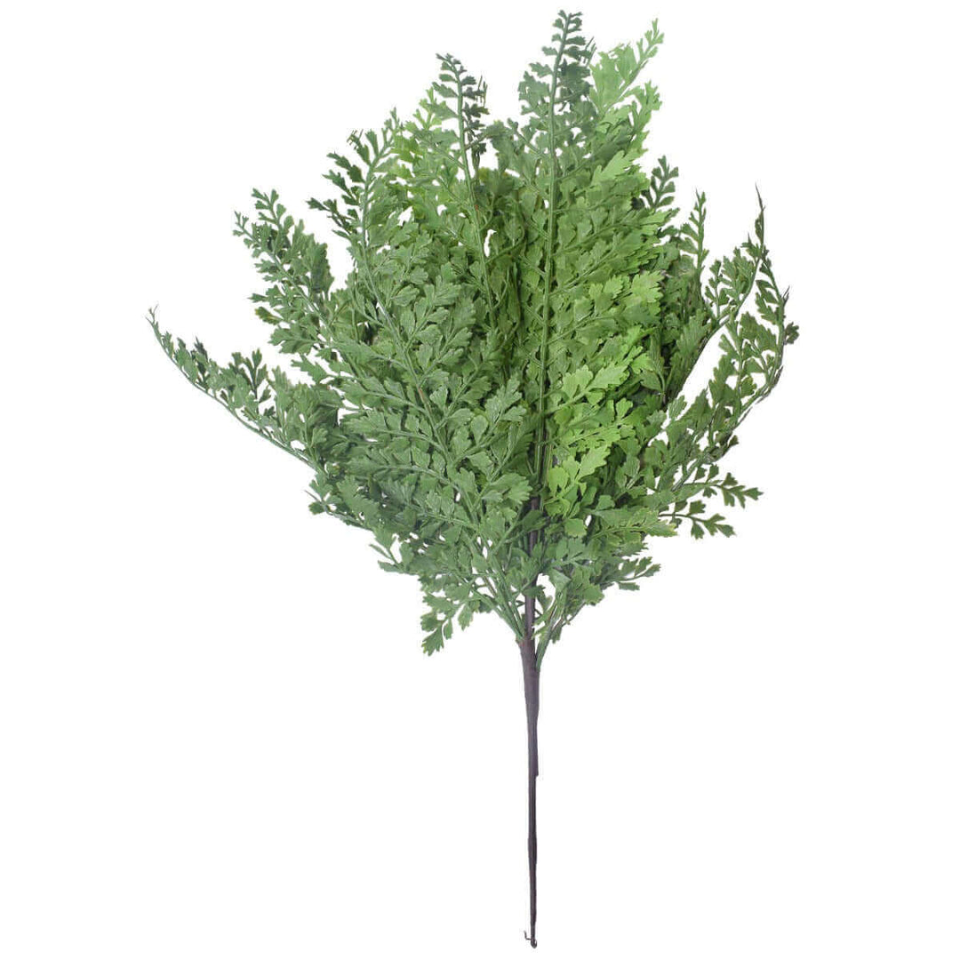 DSZ Product, feed-cond-new, feed-sl-DSZ Freight Payable, newFaux Maden Hair Fern Stem 40Cm - Premium Home & Garden > Artificial Plants > Artifical Flowers & Plants from DSZ ! Shop Online Buy Now at S & D's Value Store Family Business Best Customer ServiceDSZ Product, feed-cond-new, feed-sl-DSZ Freight Payable, new