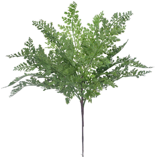 DSZ Product, feed-cond-new, feed-sl-DSZ Freight Payable, newFaux Maden Hair Fern Stem 40Cm - Premium Home & Garden > Artificial Plants > Artifical Flowers & Plants from DSZ ! Shop Online Buy Now at S & D's Value Store Family Business Best Customer ServiceDSZ Product, feed-cond-new, feed-sl-DSZ Freight Payable, new