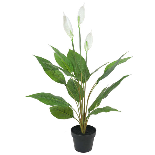 DSZ Product, feed-cond-new, feed-sl-DSZ Freight Payable, newArtificial Flowering White Peace Lily / Calla Lily 95Cm - Premium Home & Garden > Artificial Plants > Artifical Flowers & Plants from DSZ ! Shop Online Buy Now at S & D's Value Store Family Business Best Customer ServiceDSZ Product, feed-cond-new, feed-sl-DSZ Freight Payable, new