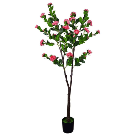 DSZ Product, feed-cond-new, feed-sl-DSZ Freight Payable, newFlowering Natural Pink Artificial Camellia Tree 180Cm - Premium Home & Garden > Artificial Plants > Artifical Flowers & Plants from DSZ ! Shop Online Buy Now at S & D's Value Store Family Business Best Customer ServiceDSZ Product, feed-cond-new, feed-sl-DSZ Freight Payable, new