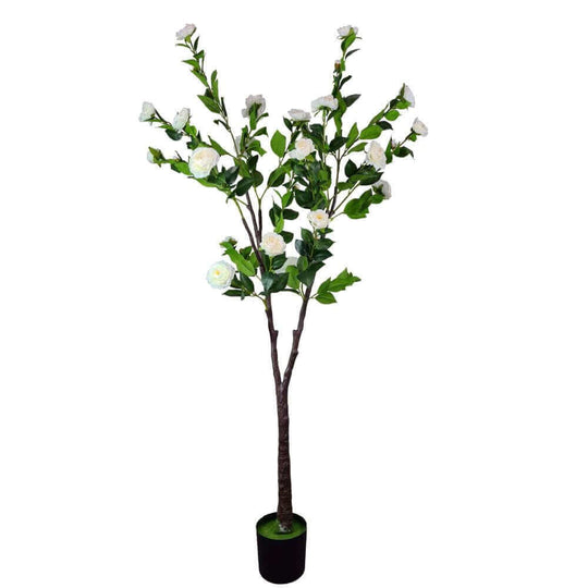 DSZ Product, feed-cond-new, feed-sl-DSZ Freight Payable, newFlowering Natural White Artificial Camellia Tree 180Cm - Premium Home & Garden > Artificial Plants > Artifical Flowers & Plants from DSZ ! Shop Online Buy Now at S & D's Value Store Family Business Best Customer ServiceDSZ Product, feed-cond-new, feed-sl-DSZ Freight Payable, new