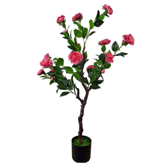 DSZ Product, feed-cond-new, feed-sl-DSZ Freight Payable, newFlowering Natural Pink Artificial Camellia Tree 100Cm - Premium Home & Garden > Artificial Plants > Artifical Flowers & Plants from DSZ ! Shop Online Buy Now at S & D's Value Store Family Business Best Customer ServiceDSZ Product, feed-cond-new, feed-sl-DSZ Freight Payable, new