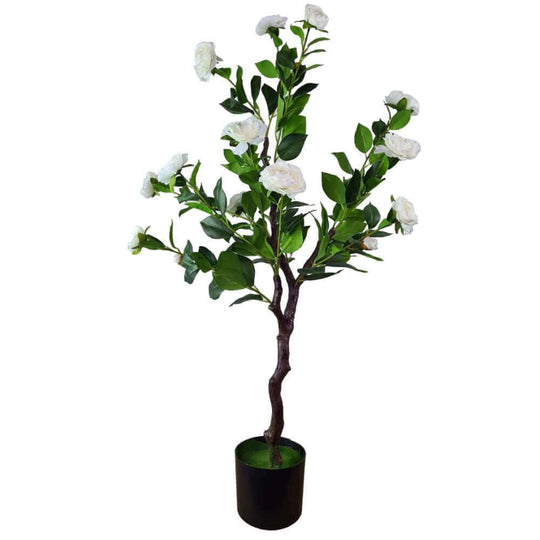 DSZ Product, feed-cond-new, feed-sl-DSZ Freight Payable, newFlowering Natural White Artificial Camellia Tree 100Cm - Premium Home & Garden > Artificial Plants > Artifical Flowers & Plants from DSZ ! Shop Online Buy Now at S & D's Value Store Family Business Best Customer ServiceDSZ Product, feed-cond-new, feed-sl-DSZ Freight Payable, new