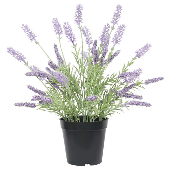 DSZ Product, feed-cond-new, feed-sl-DSZ Freight Payable, newArtificial Lavender Plant 40Cm - Premium Home & Garden > Artificial Plants > Artifical Flowers & Plants from DSZ ! Shop Online Buy Now at S & D's Value Store Family Business Best Customer ServiceDSZ Product, feed-cond-new, feed-sl-DSZ Freight Payable, new