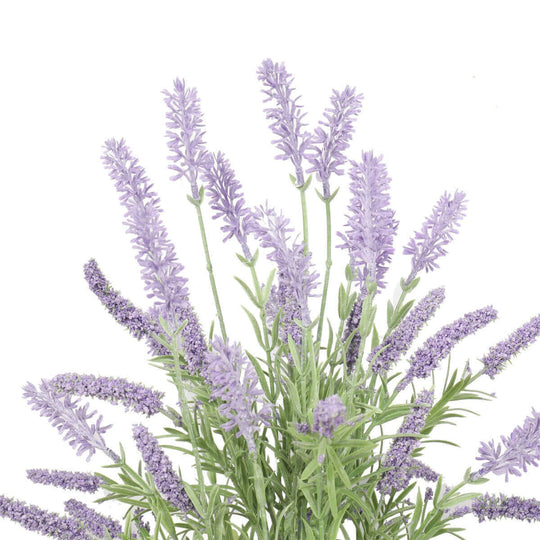 DSZ Product, feed-cond-new, feed-sl-DSZ Freight Payable, newArtificial Lavender Plant 40Cm - Premium Home & Garden > Artificial Plants > Artifical Flowers & Plants from DSZ ! Shop Online Buy Now at S & D's Value Store Family Business Best Customer ServiceDSZ Product, feed-cond-new, feed-sl-DSZ Freight Payable, new