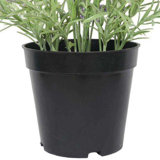 DSZ Product, feed-cond-new, feed-sl-DSZ Freight Payable, newArtificial Lavender Plant 40Cm - Premium Home & Garden > Artificial Plants > Artifical Flowers & Plants from DSZ ! Shop Online Buy Now at S & D's Value Store Family Business Best Customer ServiceDSZ Product, feed-cond-new, feed-sl-DSZ Freight Payable, new