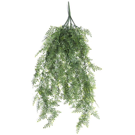 DSZ Product, feed-cond-new, feed-sl-DSZ Freight Payable, newArtificial Hanging Plant (Maiden Hair Fern) Uv Resistant 90Cm - Premium Home & Garden > Artificial Plants > Artifical Flowers & Plants from DSZ ! Shop Online Buy Now at S & D's Value Store Family Business Best Customer ServiceDSZ Product, feed-cond-new, feed-sl-DSZ Freight Payable, new