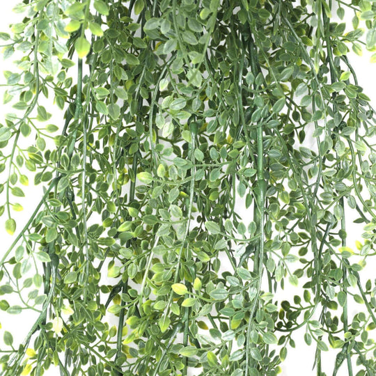 DSZ Product, feed-cond-new, feed-sl-DSZ Freight Payable, newArtificial Hanging Plant (Maiden Hair Fern) Uv Resistant 90Cm - Premium Home & Garden > Artificial Plants > Artifical Flowers & Plants from DSZ ! Shop Online Buy Now at S & D's Value Store Family Business Best Customer ServiceDSZ Product, feed-cond-new, feed-sl-DSZ Freight Payable, new