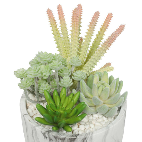 DSZ Product, feed-cond-new, feed-sl-DSZ Freight Payable, newPotted Artificial Succulent Bowl With Marble Pot 20.5Cm - Premium Home & Garden > Artificial Plants > Artifical Flowers & Plants from DSZ ! Shop Online Buy Now at S & D's Value Store Family Business Best Customer ServiceDSZ Product, feed-cond-new, feed-sl-DSZ Freight Payable, new