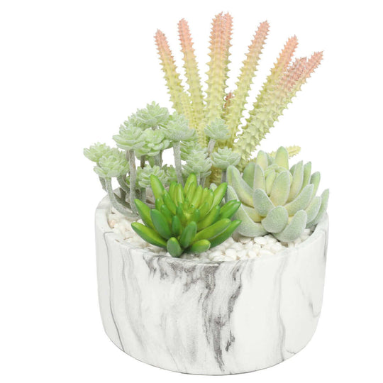 DSZ Product, feed-cond-new, feed-sl-DSZ Freight Payable, newPotted Artificial Succulent Bowl With Marble Pot 20.5Cm - Premium Home & Garden > Artificial Plants > Artifical Flowers & Plants from DSZ ! Shop Online Buy Now at S & D's Value Store Family Business Best Customer ServiceDSZ Product, feed-cond-new, feed-sl-DSZ Freight Payable, new