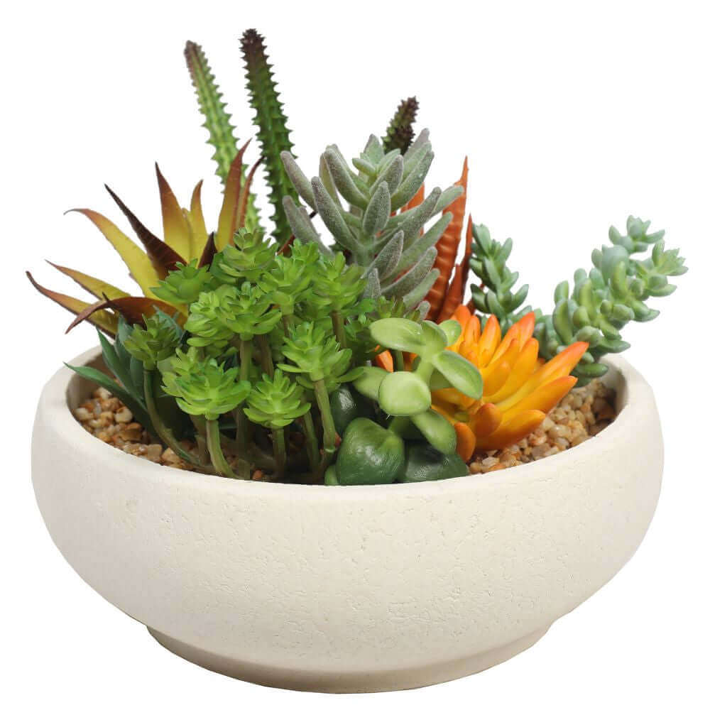 DSZ Product, feed-cond-new, feed-sl-DSZ Freight Payable, newPotted Artificial Succulent Bowl With Natural Stone Pot 21Cm - Premium Home & Garden > Artificial Plants > Artifical Flowers & Plants from DSZ ! Shop Online Buy Now at S & D's Value Store Family Business Best Customer ServiceDSZ Product, feed-cond-new, feed-sl-DSZ Freight Payable, new