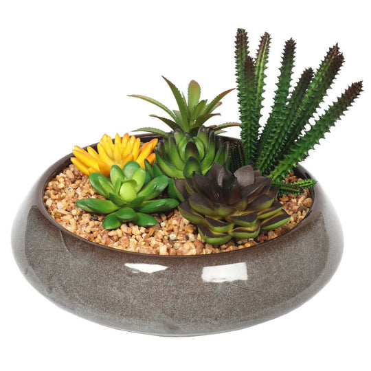 DSZ Product, feed-cond-new, feed-sl-DSZ Freight Payable, newPotted Artificial Succulents With Round Decorative Bowl 19Cm - Premium Home & Garden > Artificial Plants > Artifical Flowers & Plants from DSZ ! Shop Online Buy Now at S & D's Value Store Family Business Best Customer ServiceDSZ Product, feed-cond-new, feed-sl-DSZ Freight Payable, new