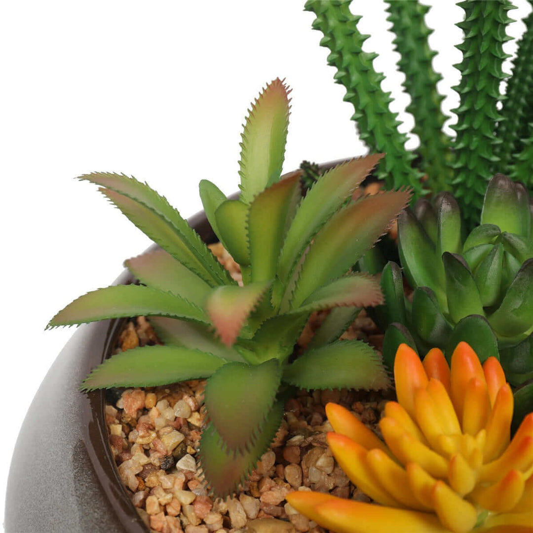 DSZ Product, feed-cond-new, feed-sl-DSZ Freight Payable, newPotted Artificial Succulents With Round Decorative Bowl 19Cm - Premium Home & Garden > Artificial Plants > Artifical Flowers & Plants from DSZ ! Shop Online Buy Now at S & D's Value Store Family Business Best Customer ServiceDSZ Product, feed-cond-new, feed-sl-DSZ Freight Payable, new