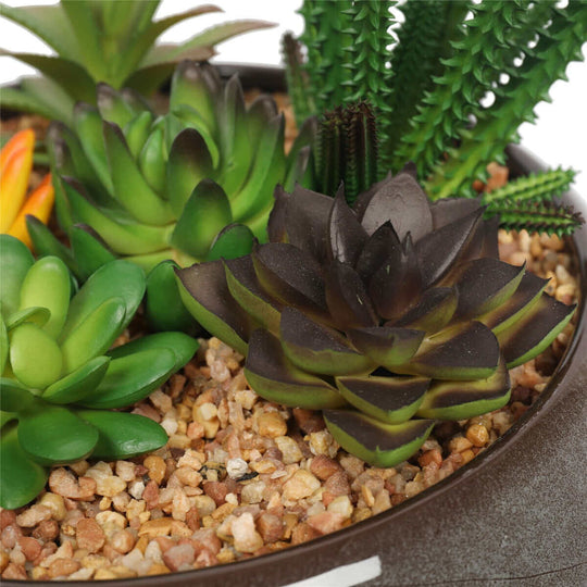 DSZ Product, feed-cond-new, feed-sl-DSZ Freight Payable, newPotted Artificial Succulents With Round Decorative Bowl 19Cm - Premium Home & Garden > Artificial Plants > Artifical Flowers & Plants from DSZ ! Shop Online Buy Now at S & D's Value Store Family Business Best Customer ServiceDSZ Product, feed-cond-new, feed-sl-DSZ Freight Payable, new